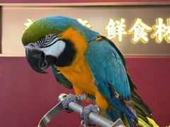 -大潮淮·淮扬菜(何园旗舰店)