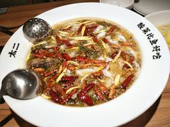 -新太二·鲜料川菜(智慧城广百店)