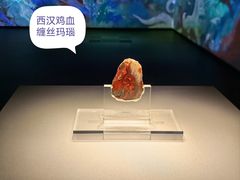 -北京大葆台遗址博物馆