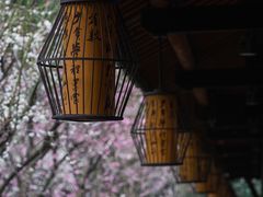 -成都杜甫草堂博物馆