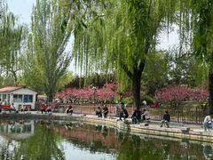 -丰台花园