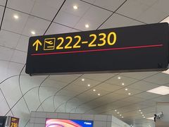 -郑州新郑国际机场