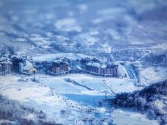 -中旅松花湖滑雪场
