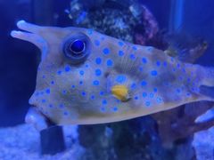 -太平洋海底世界