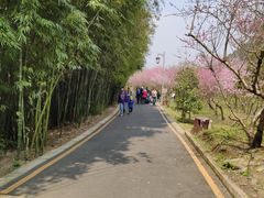 -贵阳市花溪国家城市湿地公园