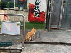-大益烤鸡