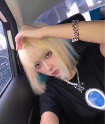 -YESIDO椰岛造型