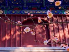 -国家植物园