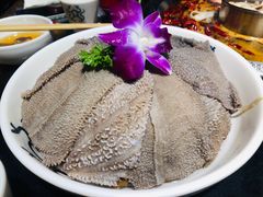 -大龙燚火锅(春熙店)