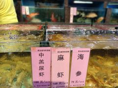 -新金盛·海鲜酒楼(盐田店)
