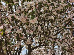 -大钟寺古钟博物馆