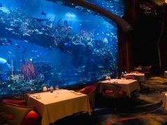 -迪拜帆船酒店海底餐厅