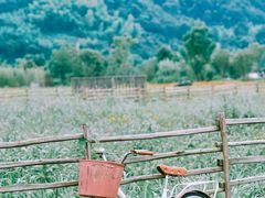 -溪口-滕头旅游景区