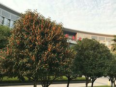 -西南政法大学(沙坪坝校区)