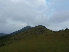 -大姆山草场