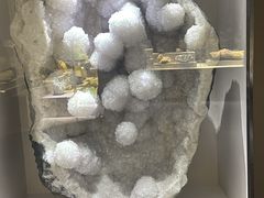 -河南自然博物馆
