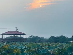 -嘉北郊野公园