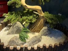 -陆琴脚艺·足浴·SPA(夫子庙店)