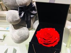 -ROSEONLY诺誓(青岛万象城店)