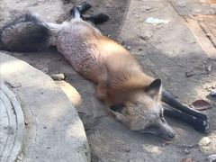 -无锡动物园·太湖欢乐园