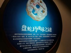 -鸿山遗址博物馆