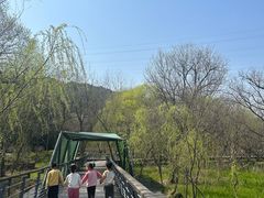 -西湖风景区-江洋畈生态公园