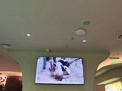 -眉州东坡·熊猫主题餐厅(枫蓝店)
