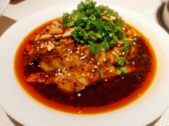 口水鸡-渝信川菜(华盛店)