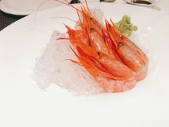 -FOUNT创意日料