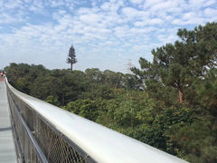 -仙岳公园