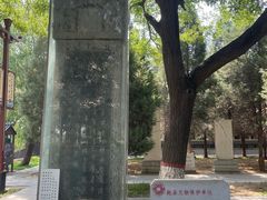 -赵州桥景区