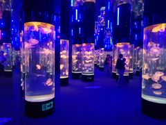 -成都浩海立方海洋公园