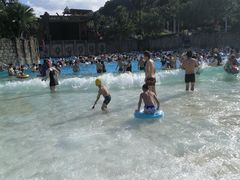 -重庆海昌加勒比海水世界