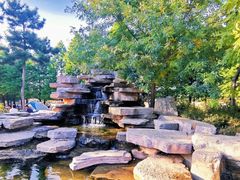 -羊亭河湿地公园