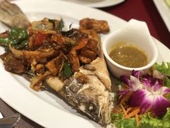 -Daddy Nimman Chiang Mai