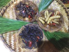 -昆虫窝子·特色云南菜(拓东路总店)