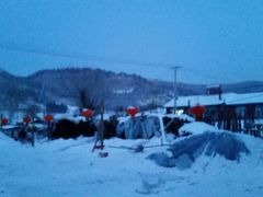 android_upload_pic-雪谷