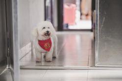 -格乐利雅婚礼艺术中心(南外滩店)