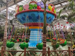 -南宫五洲植物乐园