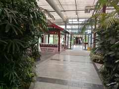-春满园生态餐厅(南宫路店)