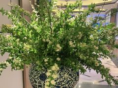 -顺峰(农展馆店)