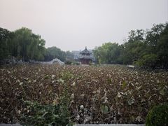 -莲池书院博物馆