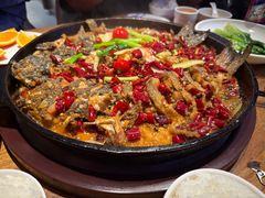 -老板恋上鱼(恒隆广场店)