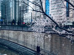 -金宫殿故址