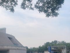 -中华世纪坛-停车场