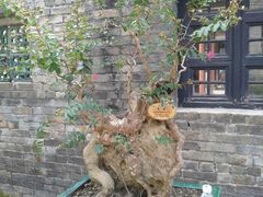 android_upload_pic-东莞市可园博物馆