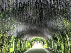 -同里国家湿地公园
