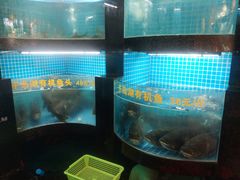 水产区-千岛湖小鱼儿·淳安匠心农家菜