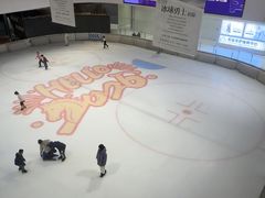 -TheRink大零溜冰场(IFS国金中心店)
