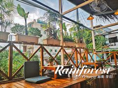 -Rainforest